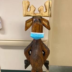 Meet your Posher, Julie